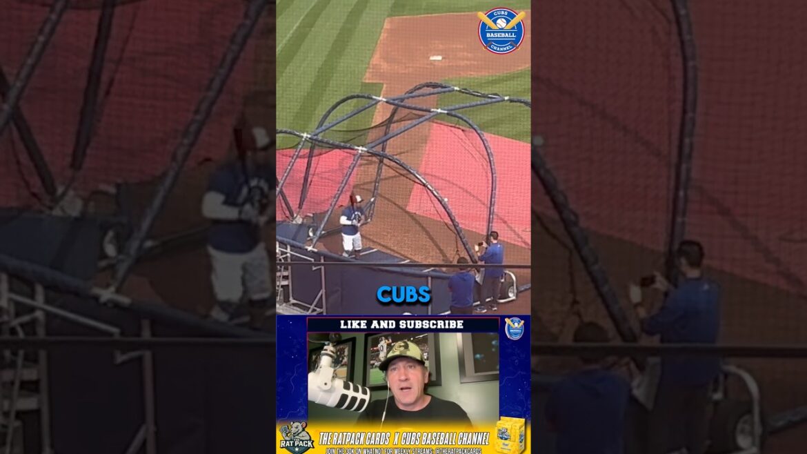 SEIYA IS IN KNOXVILLE | Cubs Baseball Channel