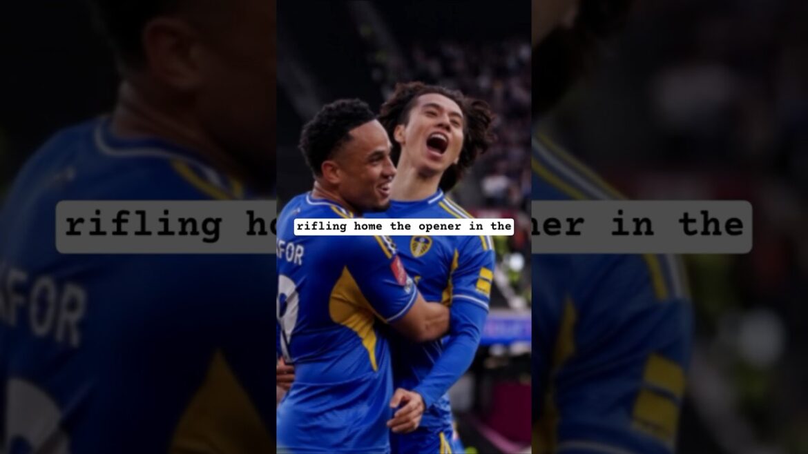 LATE DRAMA 😞, Westham 2-2 Leeds United. Leeds are going to Wembley #football #highlights #facup