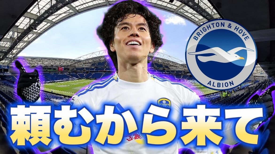 Aoi Tanaka, would you please come to Brighton?