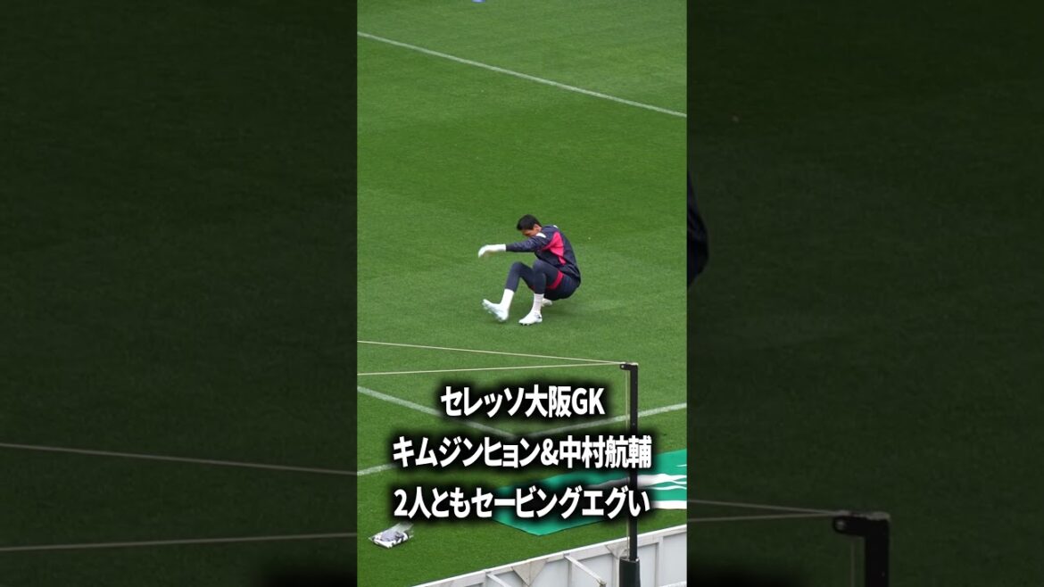 Cerezo's GK depth is amazing