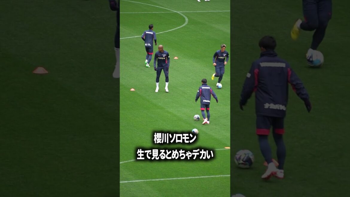 Solomon Sakuragawa is so big Solomon Sakuragawa is so big