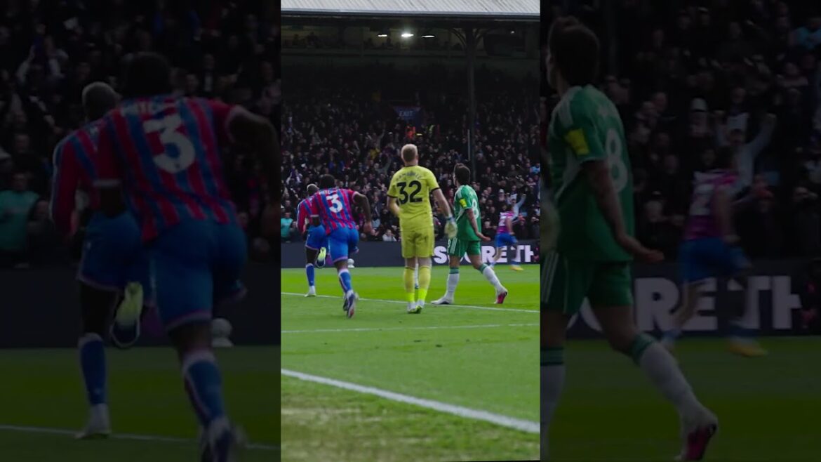 Ty Cross ➡️ JP Header ⚽️  #crystalpalace #football #premierleague