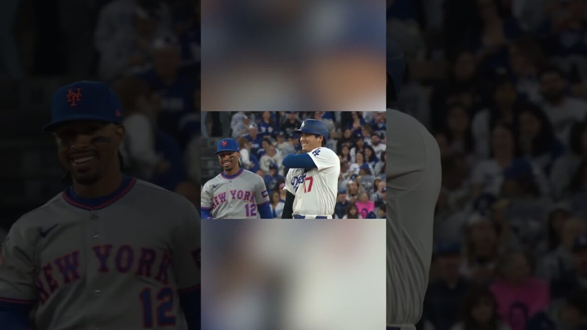 Francisco Lindor and Shohei Ohtani share a laugh 😆