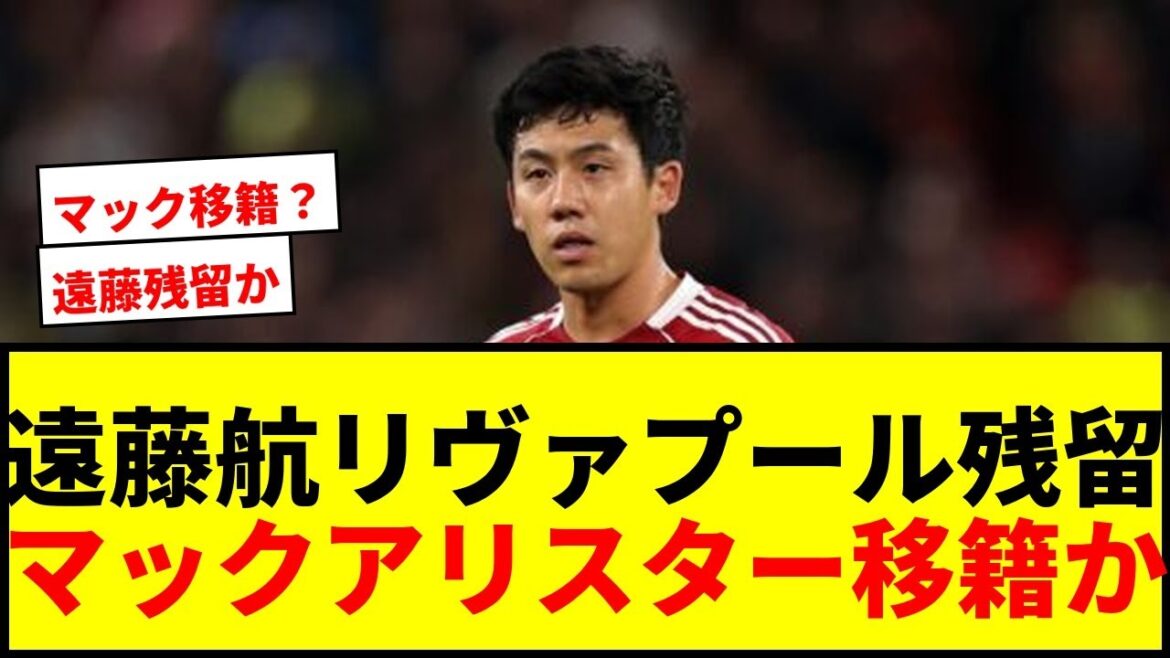 [Shocking]Wataru Endo will stay at Liverpool this summer and enter the final year of his contract? Is Mac Allister a possibility of transfer?