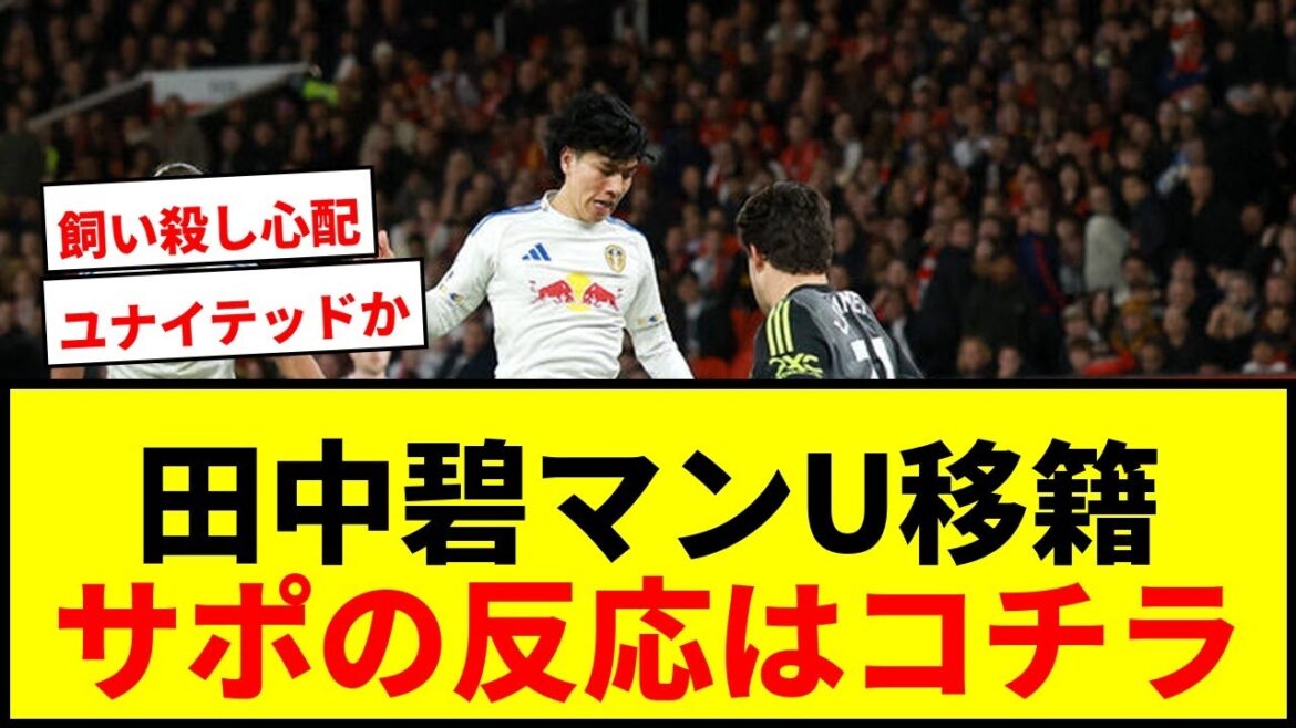 [Shocking]Aoi Tanaka transfers to Man U! The transfer fee of 3.2 billion yen is a "cheap purchase" LOL