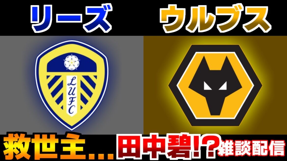 [Aoi Tanaka relegation battle...]Leeds vs Wolves | Japan National Soccer Team/Premier League