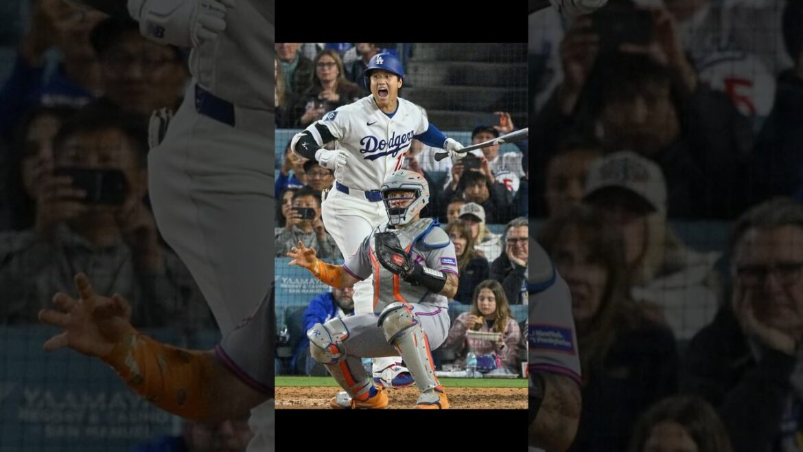 A catcher who suddenly stops the game! Shohei Otani was also surprised! ￼