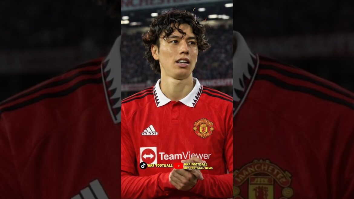 Ao Tanaka, Casemiro's Successor? 😱