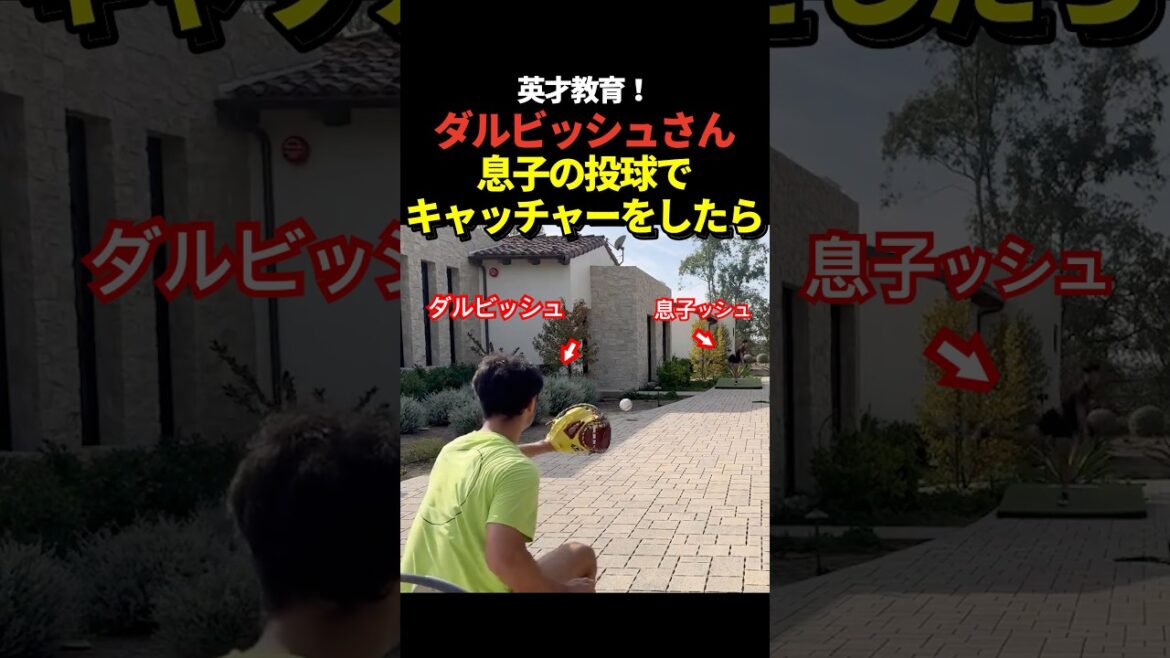 Pitcher Yu Darvish plays catcher during his son's pitching practice!