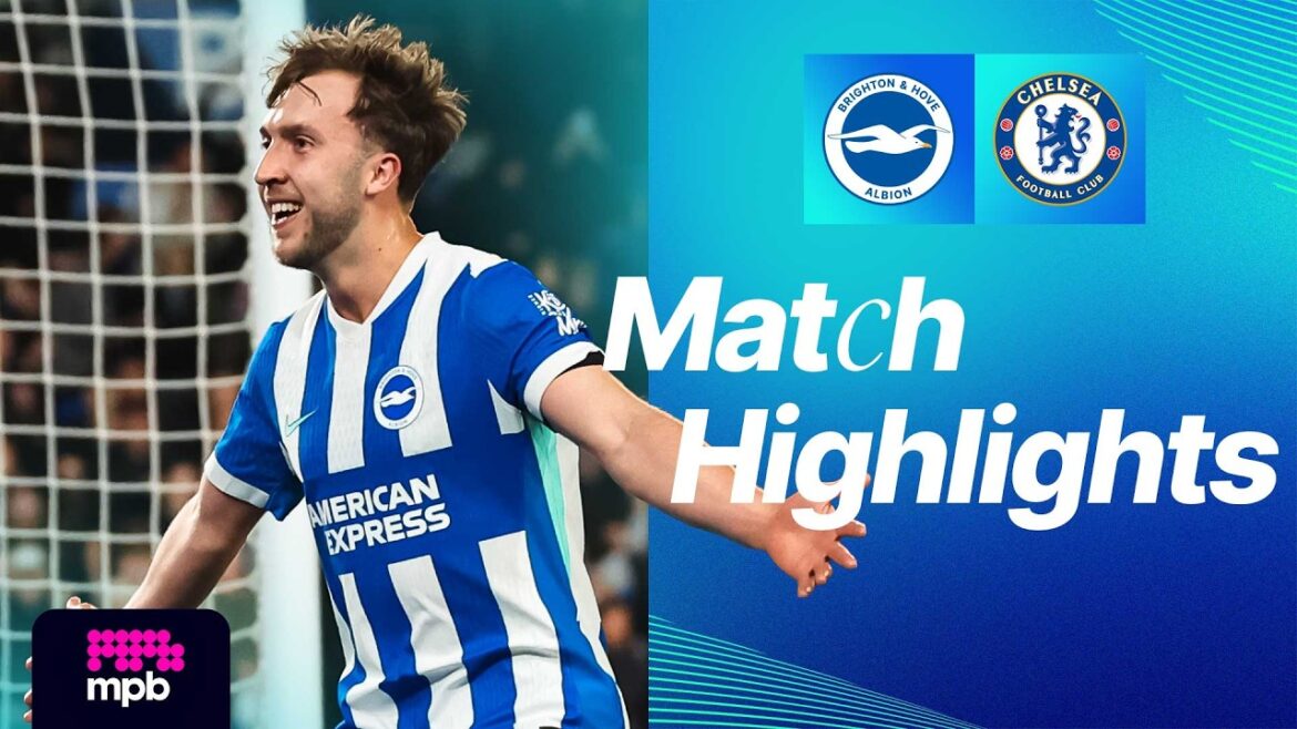 HIGHLIGHTS | Brighton v Chelsea | Premier League