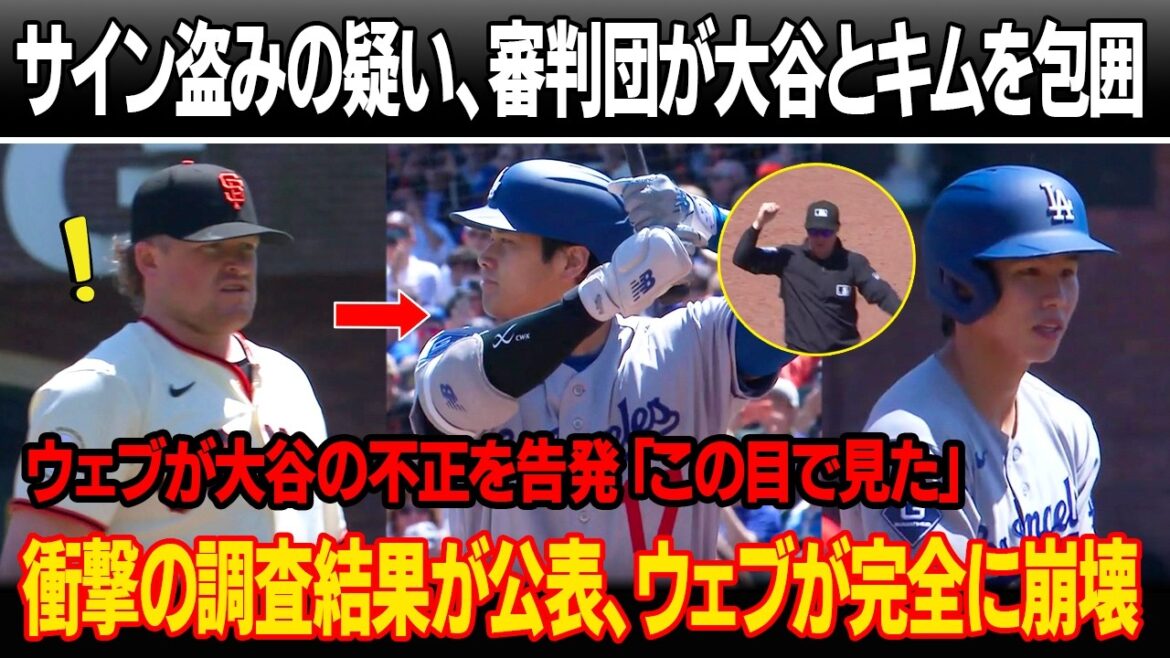 "Shohei, you're cheating! Punish me now!" Logan Webb accuses Ohtani of cheating by stealing signs in the 4th game! Referees surround Shohei Otani and Kim Hye-sung, release 1 minute video! Publication of survey results, historical disposition on the web