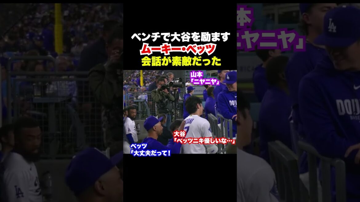 Betts encouraging Otani on the bench is so nice✨