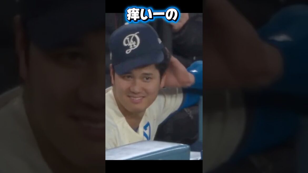 Aki Sasaki VS Seiya Suzuki! LOHAS supports Aki! Shohei Otani has an itchy head! dodgers vs cubs