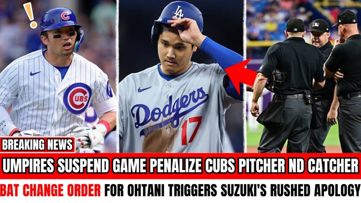 Suzuki Rushes To Ohtani With An Apology After Game Suspension Cubs Penalty And Umpires Most Shock ..