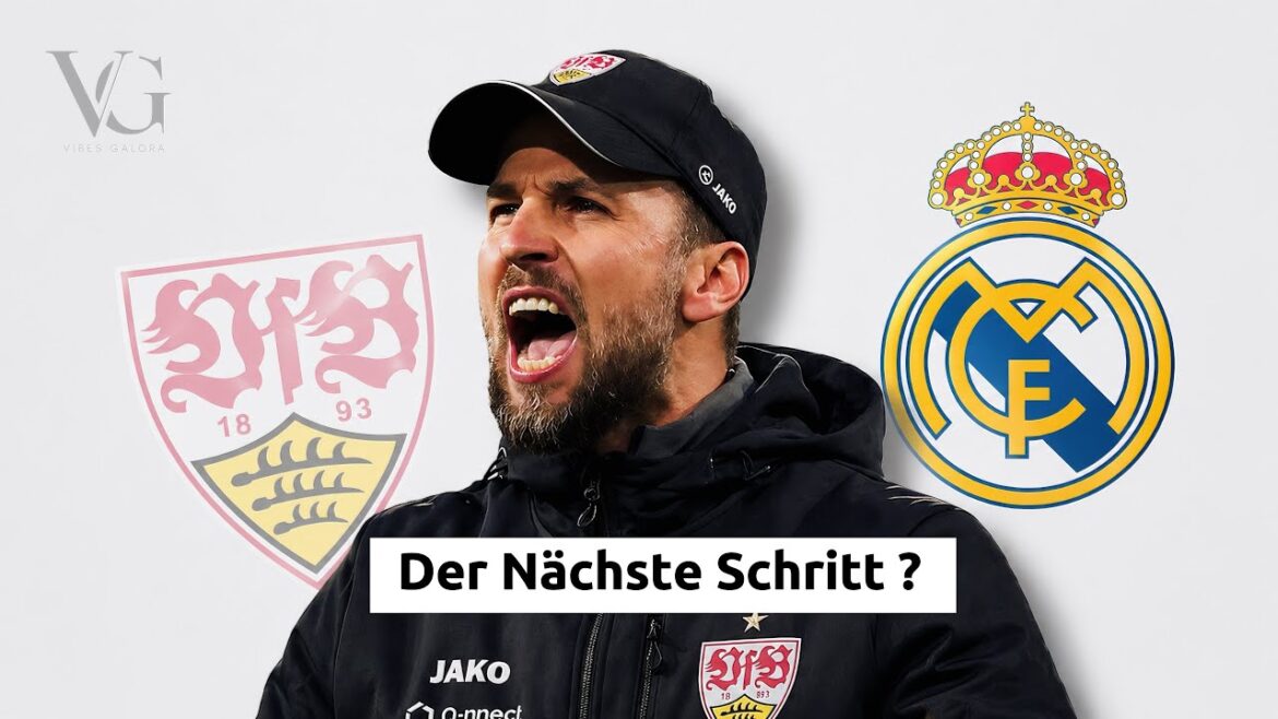 Why Sebastian Hoeneß is so popular