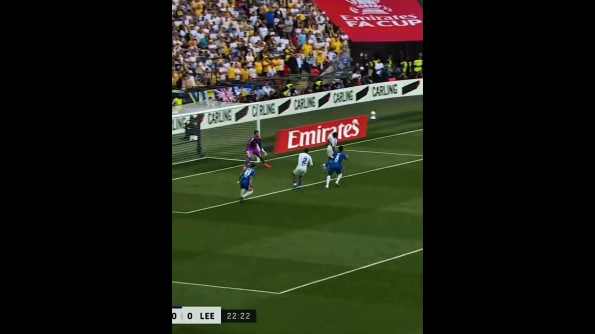 Enzo fenandez goal today #enzofenandez #chelsea #shorts