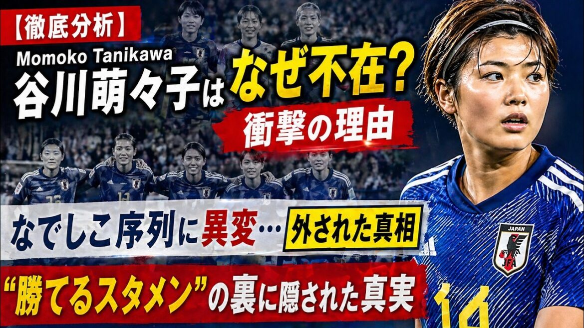 [Thorough analysis]Why is Momoko Tanikawa absent? Nadeshiko's latest ranking and the truth behind her "winning starting lineup"
