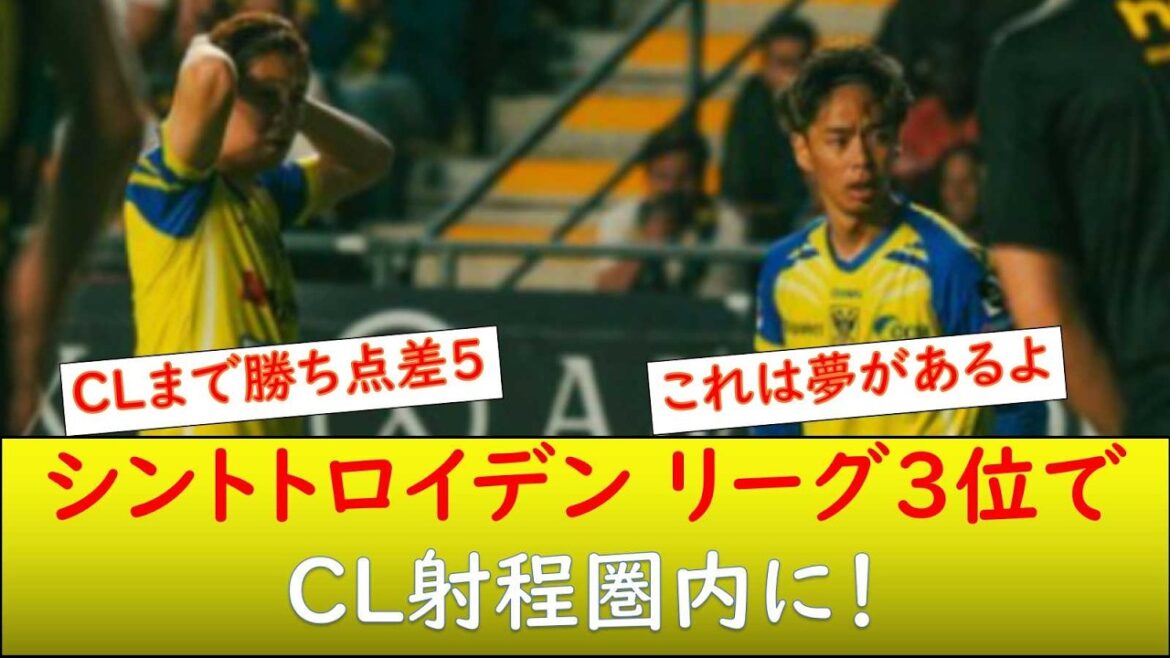 (Local reaction) I think I'll go to Sint-Truiden CL.
