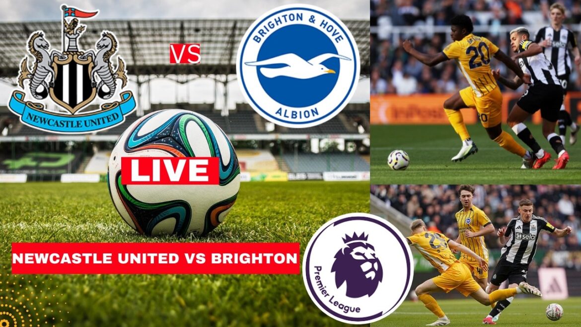 Newcastle vs Brighton 3-1 Live Stream Premier League EPL Football Match Commentary Score Highlights Newcastle vs Brighton 3-1 Live Stream Premier League EPL Football Match Commentary Score Highlights