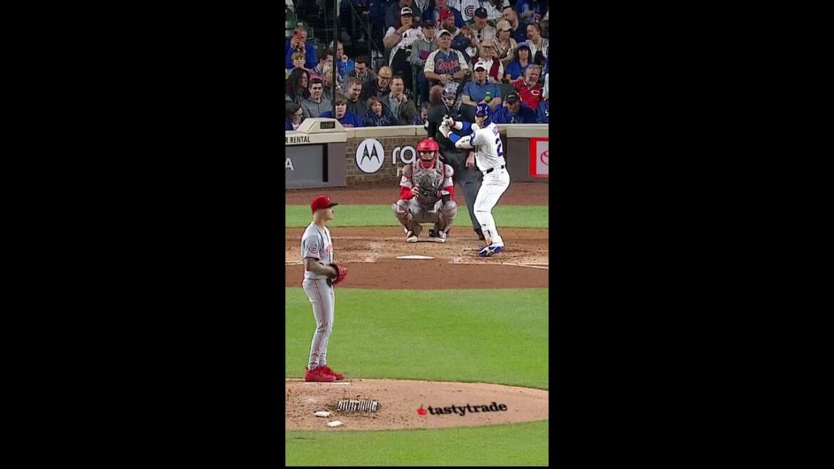 Seiya Suzuki hammers a 455-ft homer 💥