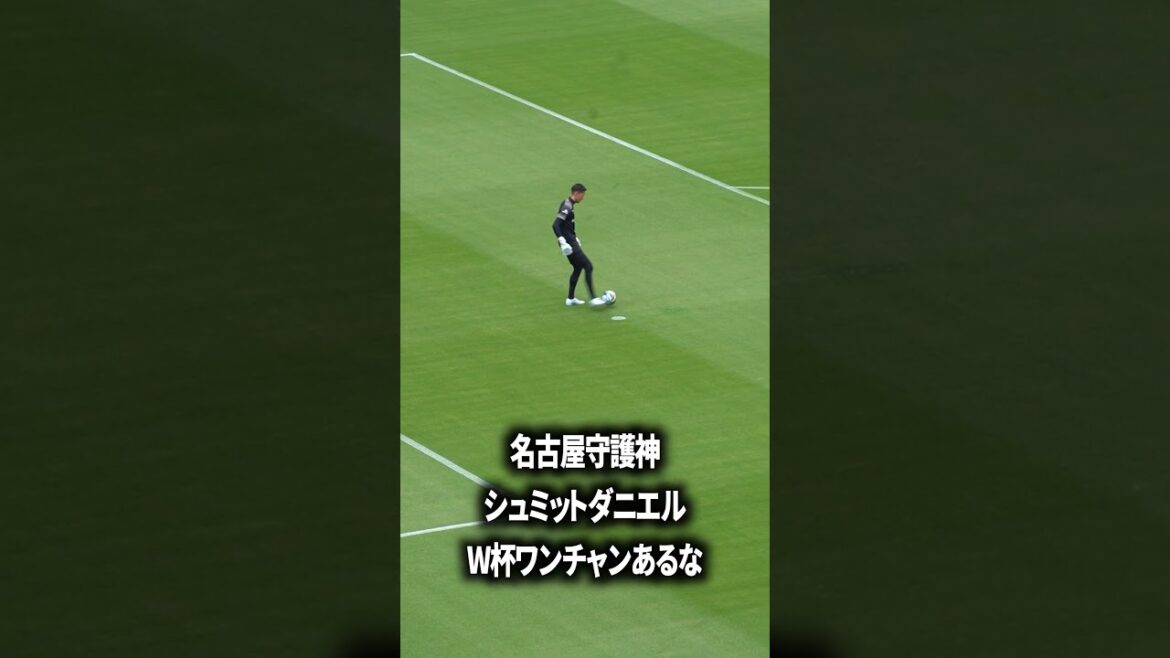 Schmidt Wanchan World Cup