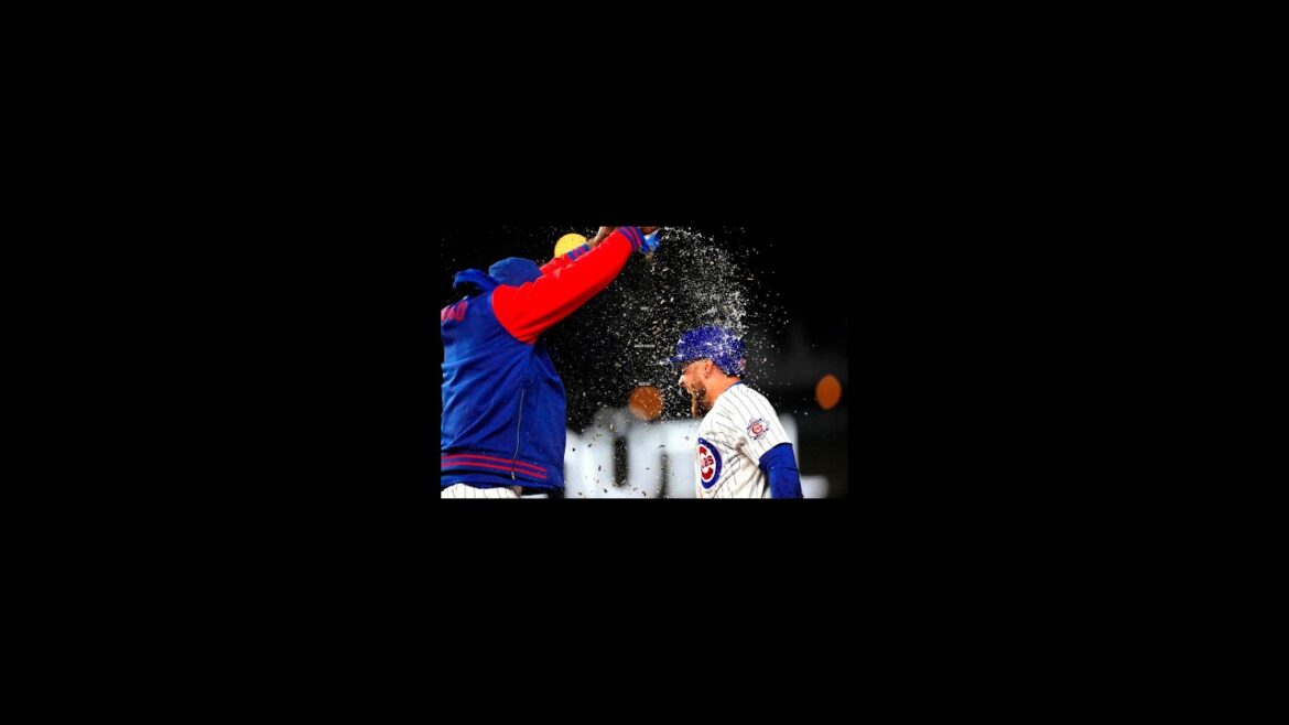 Seiya Suzuki achieves 1500 hits in Japan and the US! Cubs have won 8 straight games!