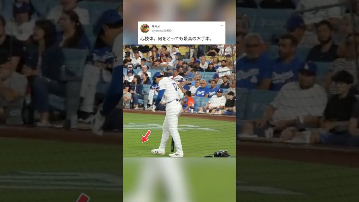 [Shohei Otani]Perfected “mind, technique, and body.” Why you are the best role model for everything.