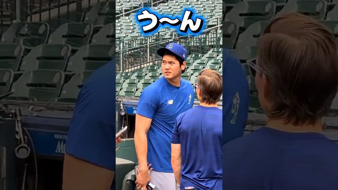 What time do you eat rice? Shohei Otani!