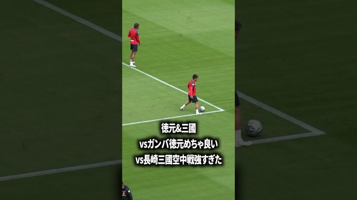 Tokumoto & Mikuni's potential
