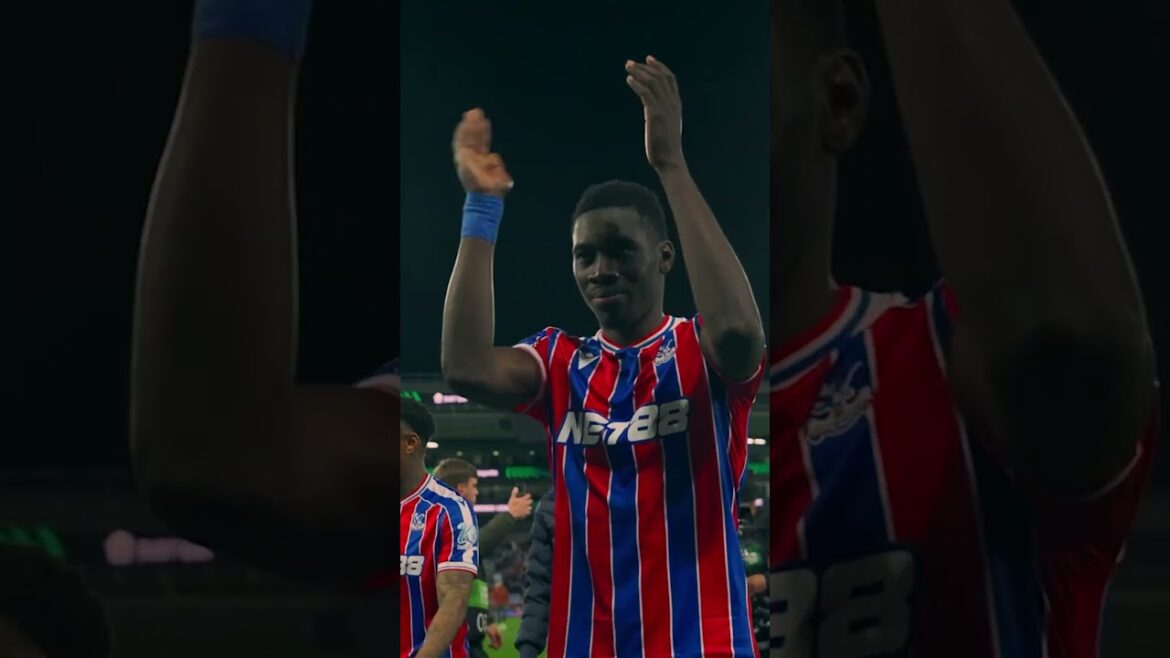 Post match Scenes 🤯   #crystalpalace