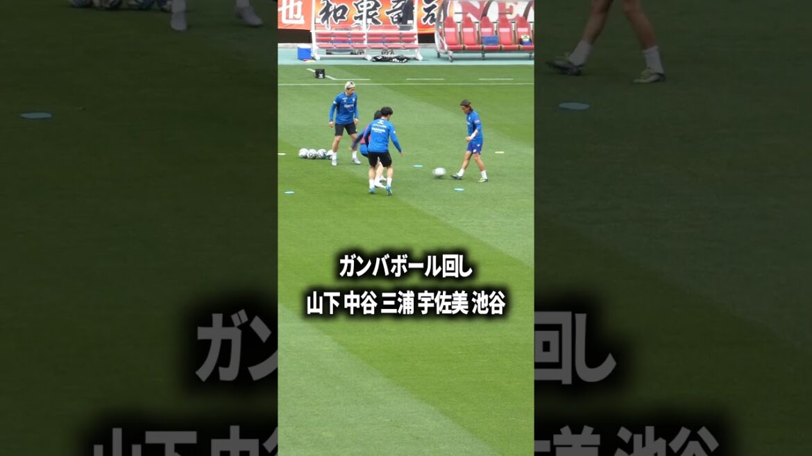 Gamba ball spinning