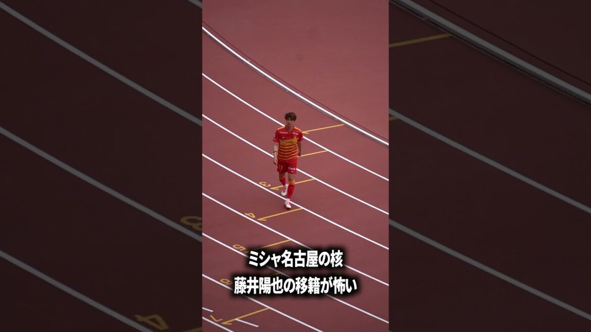 I'm afraid of Yoya Fujii's transfer