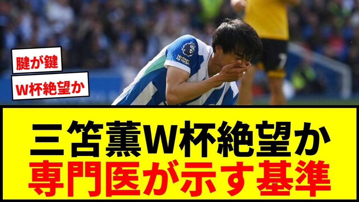 [Breaking News]Is it hopeless for Kaoru Mitoma to participate in the World Cup? Orthopedic surgeons' criteria for "safe" and "out"