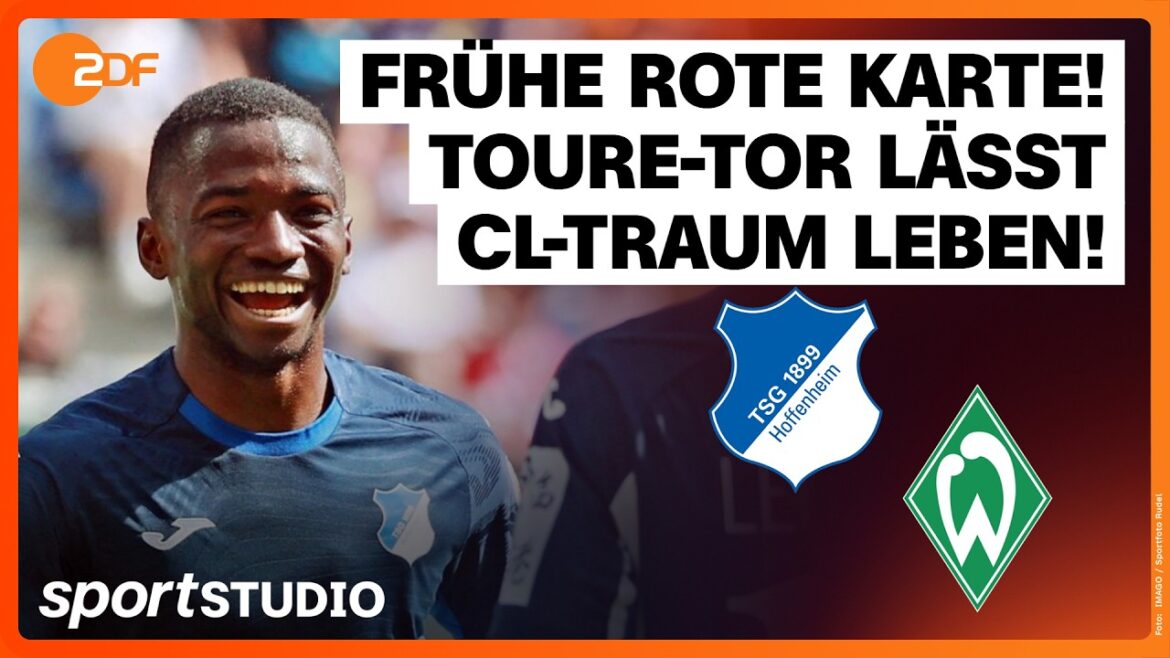 TSG Hoffenheim – SV Werder Bremen | Bundesliga, 33rd matchday 2025/26 | gym