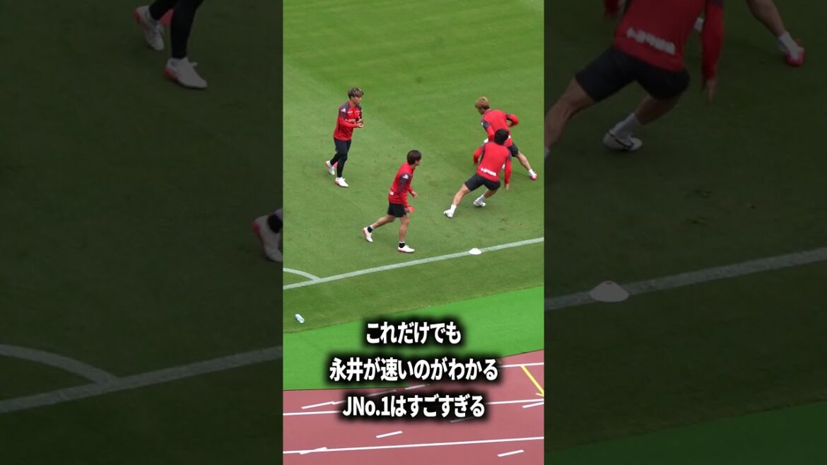 speed king nagai
