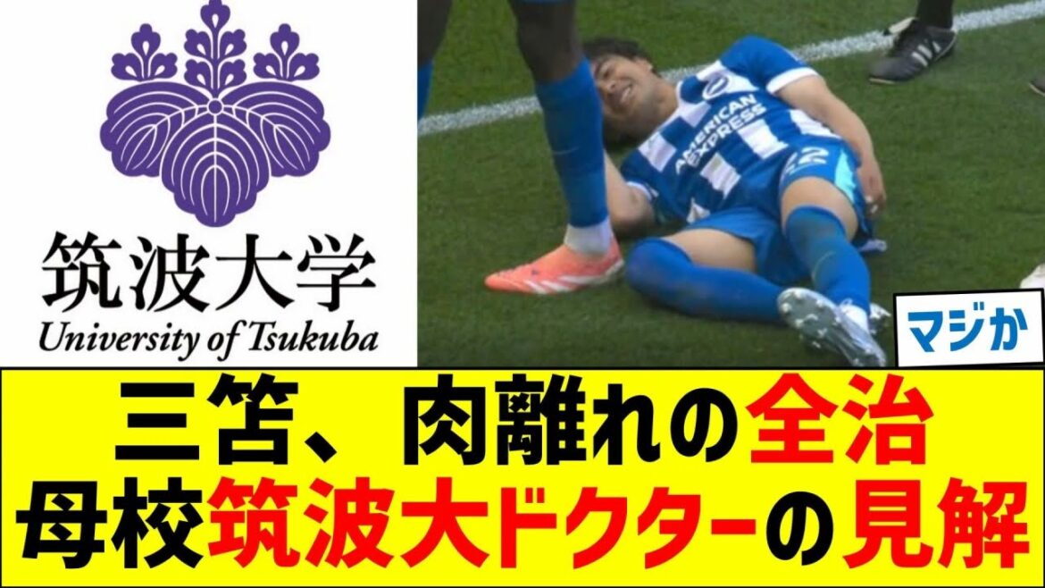 Complete recovery from muscle strain and muscle strain: Doctor’s opinion of my alma mater Tsukuba University Soccer Club Complete recovery from muscle strain and muscle strain: Doctor's opinion of my alma mater Tsukuba University Soccer Club