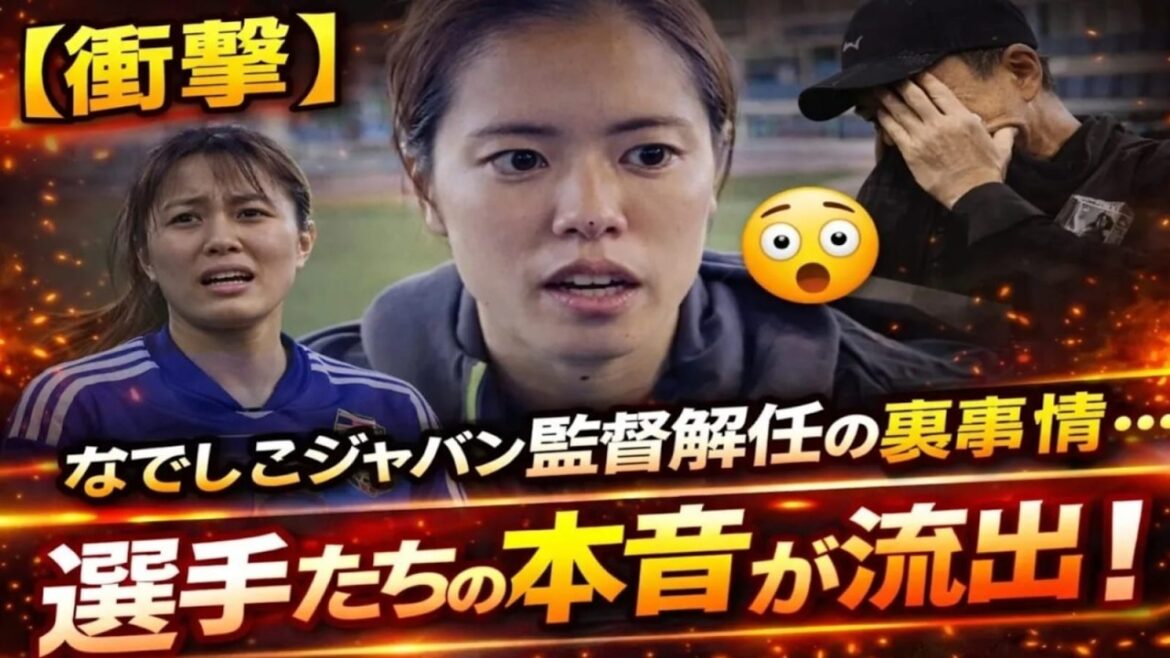 [Shocking]Behind-the-scenes circumstances behind the dismissal of Nadeshiko Japan coach...The players' true feelings revealed! The world was shocked by the shocking announcement[Overseas reactions]