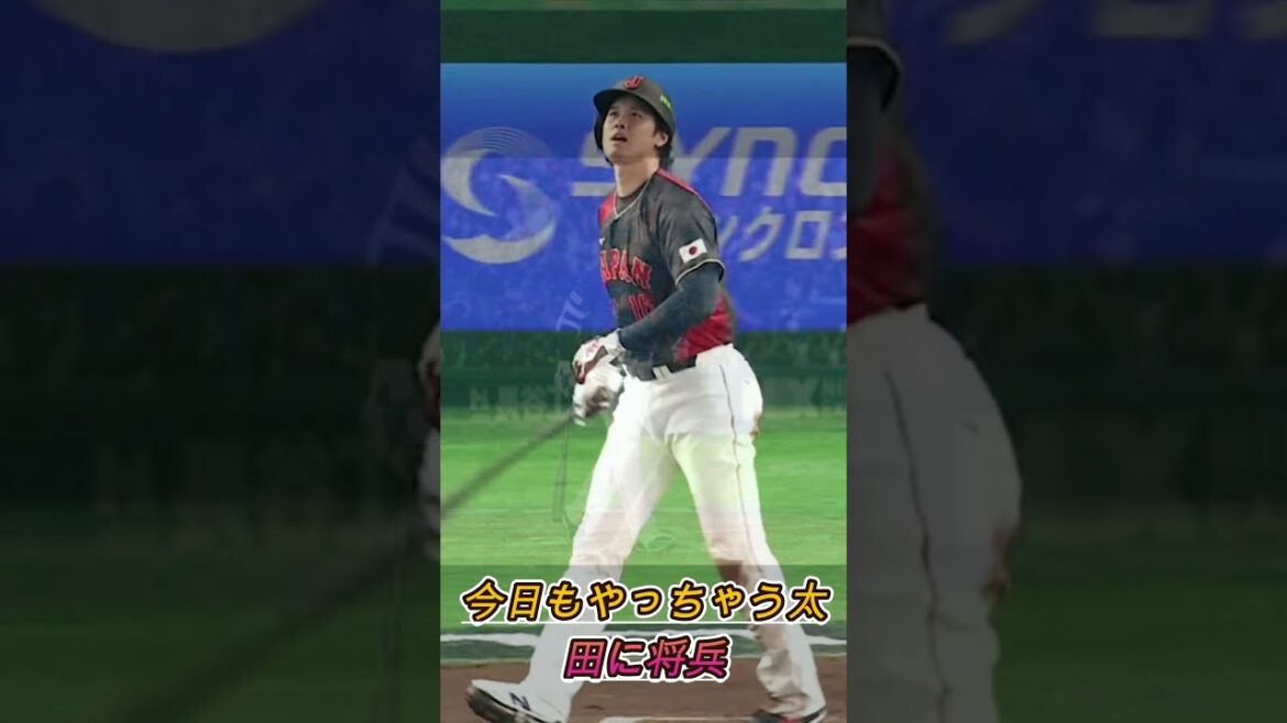 Moments of healing for MLB Japanese players 🥹 #Shohei Otani #Yoshinobu Yamamoto #Seiya Suzuki #Munetaka Murakami