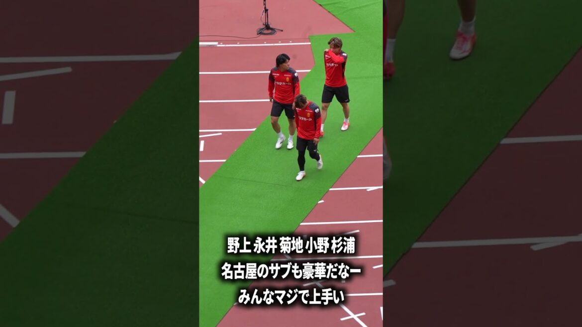 Nagoya's player base is amazing.