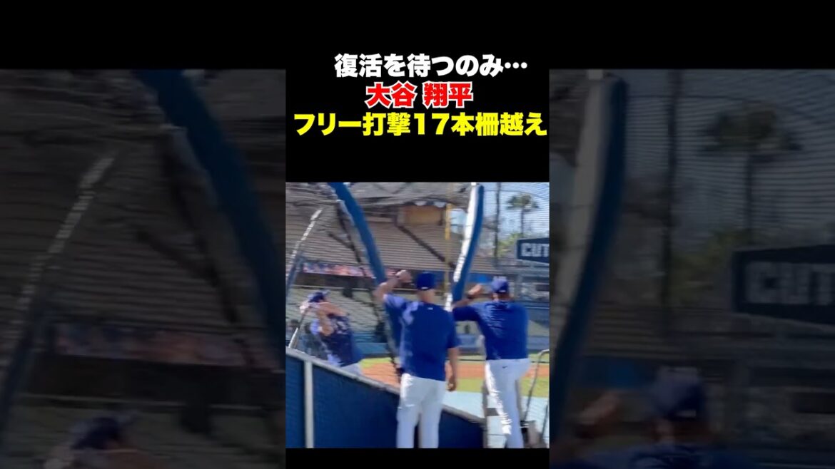 Shohei Otani got over 17 fences with free batting🔥Just waiting for his comeback✨