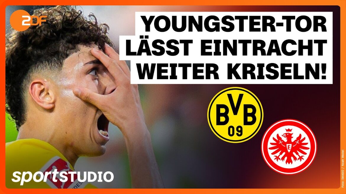 Borussia Dortmund – Eintracht Frankfurt | Bundesliga, 33rd matchday 2025/26 | gym Borussia Dortmund – Eintracht Frankfurt | Bundesliga, 33rd matchday 2025/26 | gym