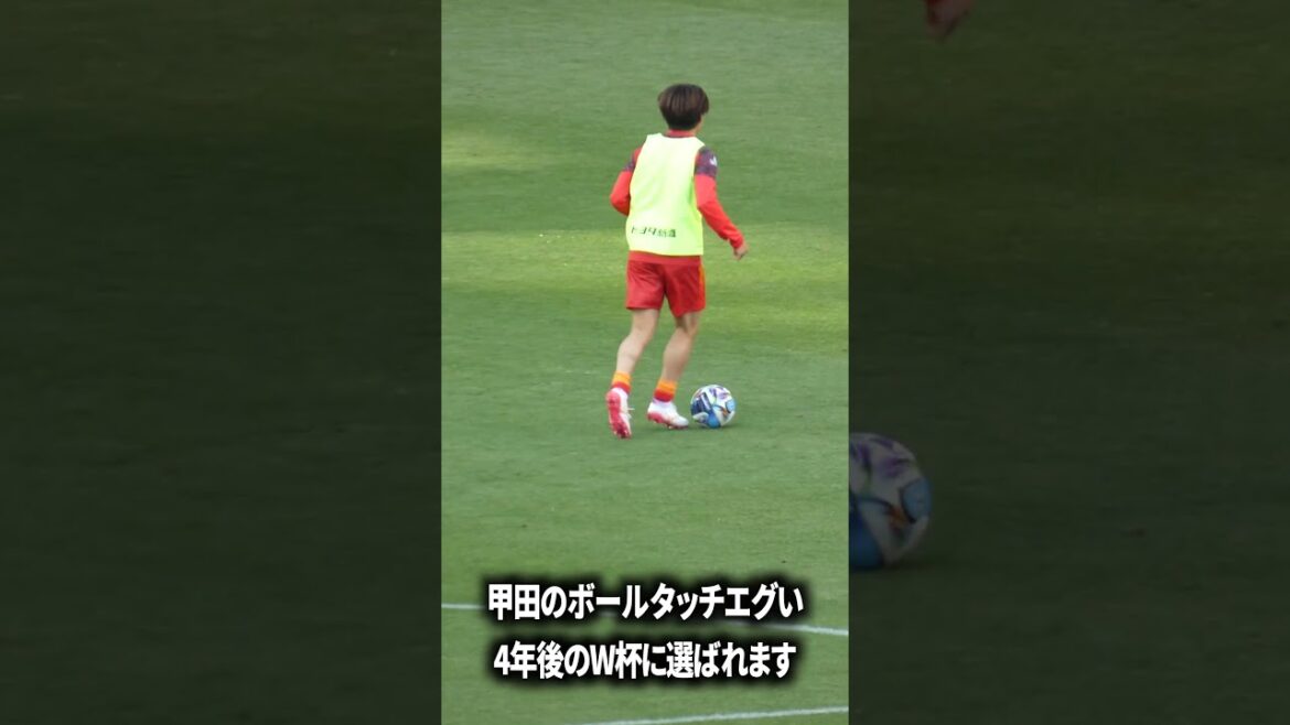 Koda’s ball touch has a different dimension Koda's ball touch has a different dimension