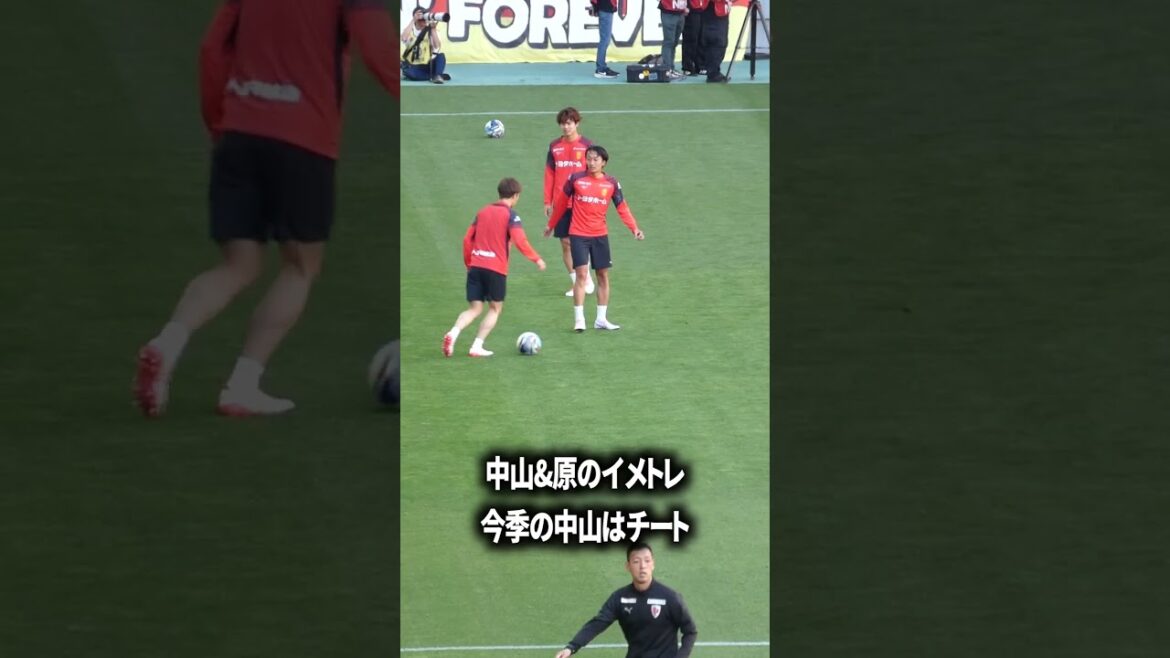 Nakayama & Hara's image training