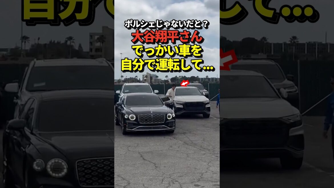 Shohei Otani drove himself into the stadium!