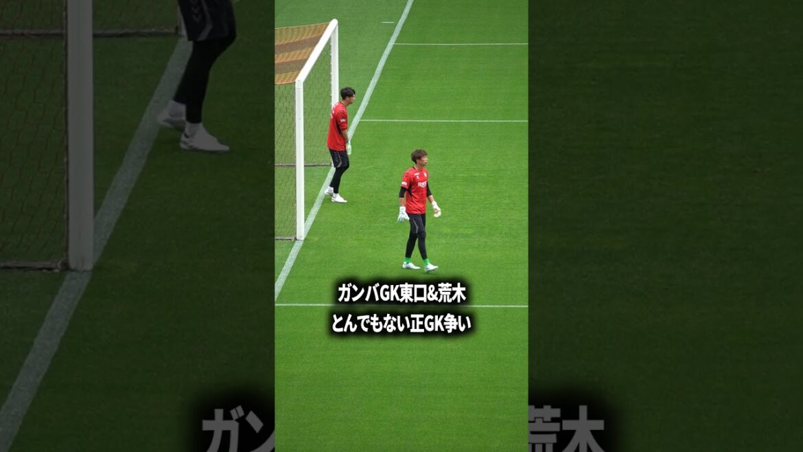 Gamba GK Egui Gamba GK Egui