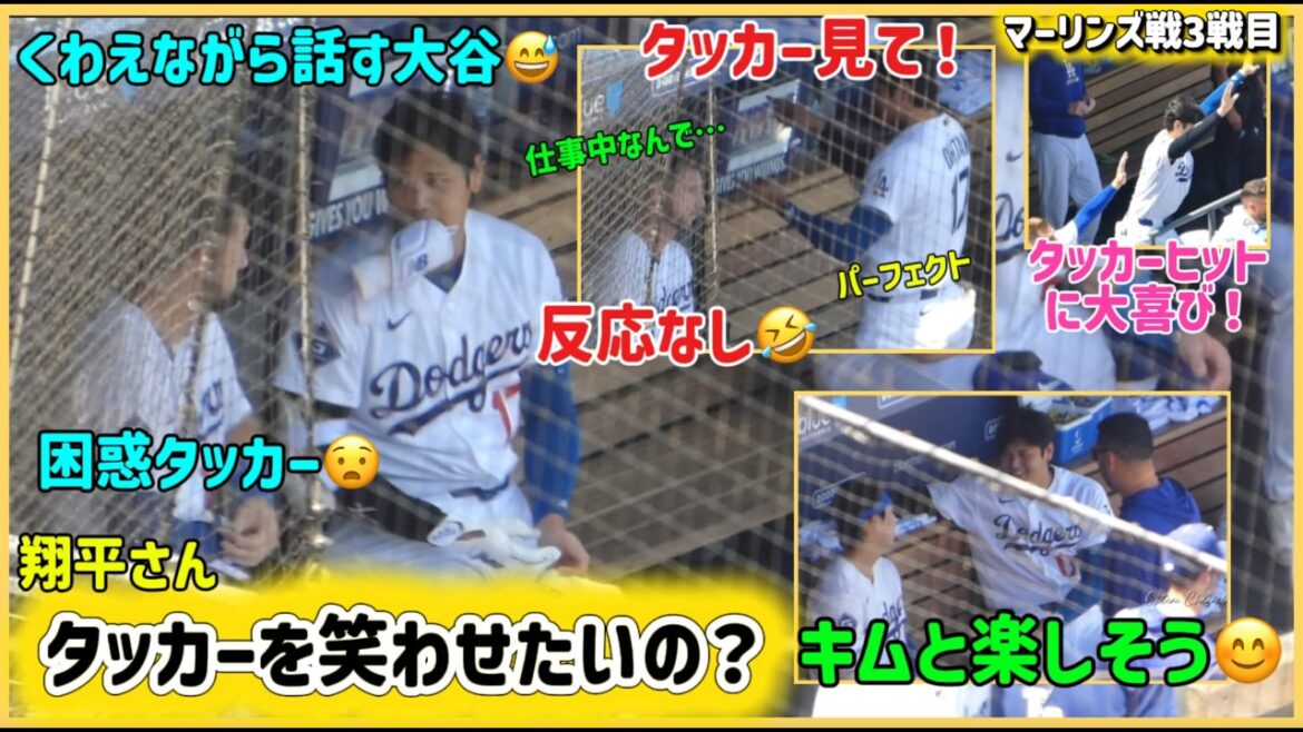 Shohei Otani wants to make Tucker laugh!?️ #Shohei Otani local video #Shohei Otani breaking news #ohtanishohei# Shohei Otani wants to make Tucker laugh!?️ #Shohei Otani local video #Shohei Otani breaking news #ohtanishohei#