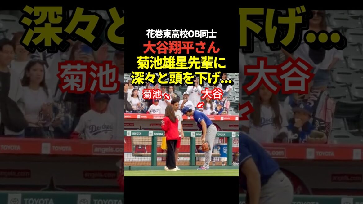 Shohei Otani chats with senior Yusei Kikuchi before the match! Hanamaki Higashi High School alumni