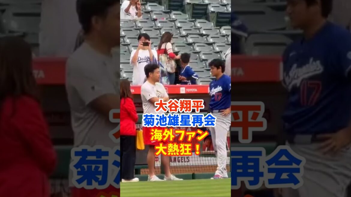 Shohei Otani and Yusei Kikuchi's reunion has sent overseas fans into a frenzy!