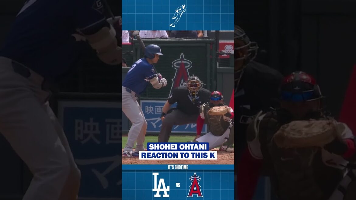 Shohei Ohtani Funny Reaction After Strikeout