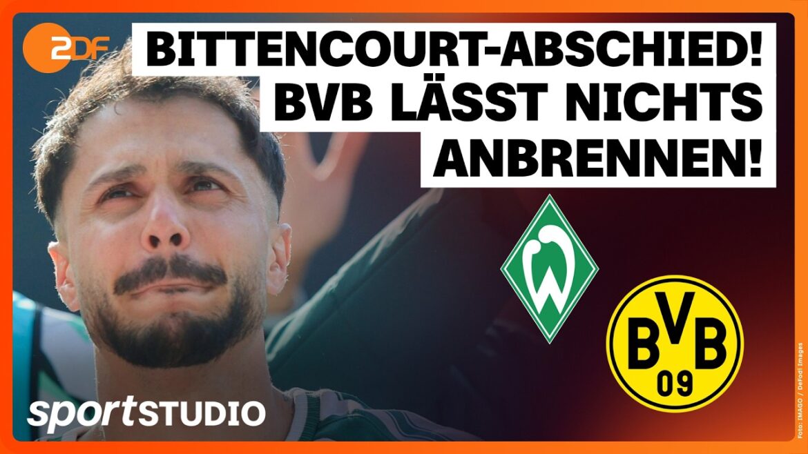 SV Werder Bremen – Borussia Dortmund | Bundesliga, 34th matchday 2025/26 | gym SV Werder Bremen – Borussia Dortmund | Bundesliga, 34th matchday 2025/26 | gym